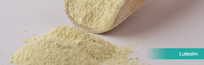 liposomal glutathione powder liposomal glutathione powder