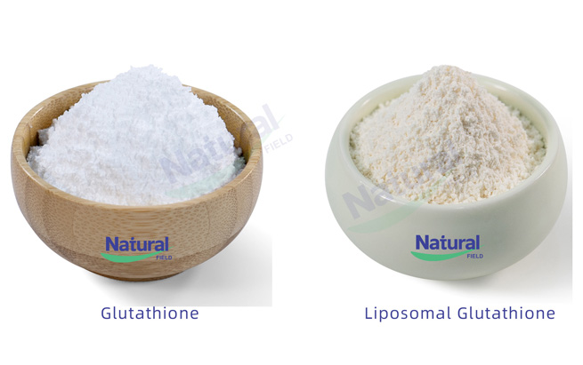 quercetin liposomal quercetin liposomal