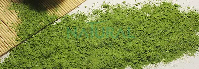 vitamina c liposomal vitamina c liposomal