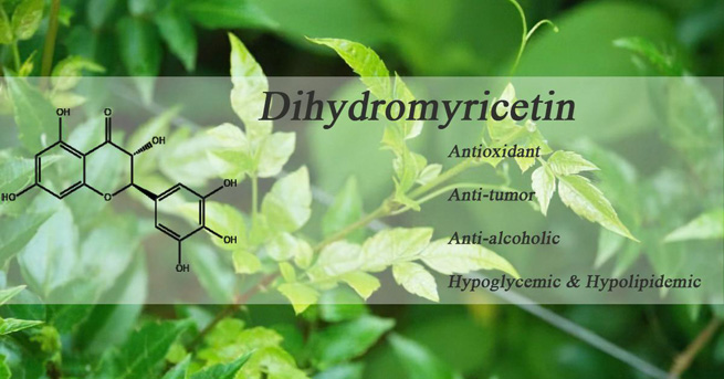 icariin extract icariin extract