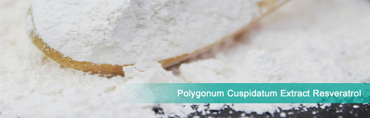 Resveratrol Resveratrol