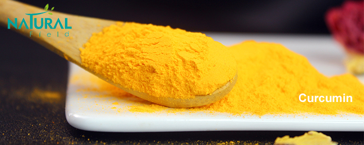 Curcumin Ingredients Curcumin Ingredients