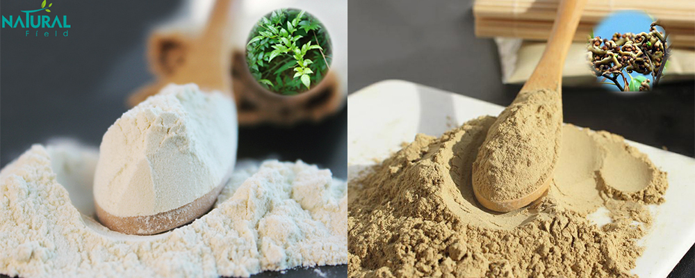 Dhm Extract Dhm Extract