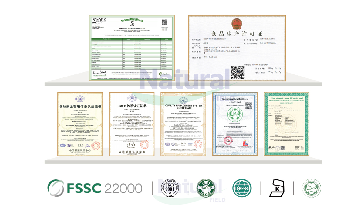 Acanthopanax Senticosus Eleuthero Root Extract Acanthopanax Senticosus Eleuthero Root Extract