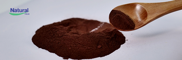 Pygeum Africanum Extract Pygeum Africanum Extract