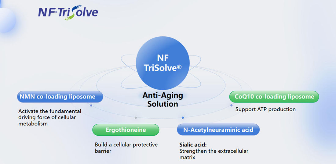Anti-Aging_solution.jpg Anti-Aging_solution.jpg