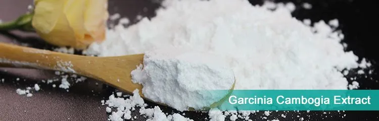 Garcinia Combogia Extract 