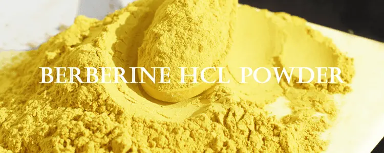 berberine hcl powder