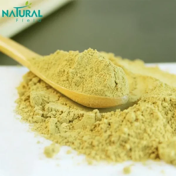 Ginger Extract powder