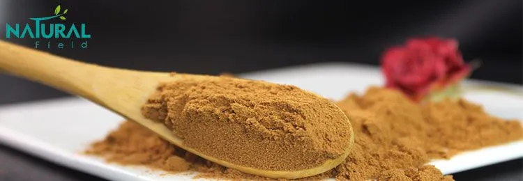 wolfberry extract powder