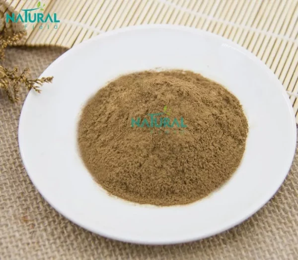 Cistanche Deserticola Ma Extract Powder