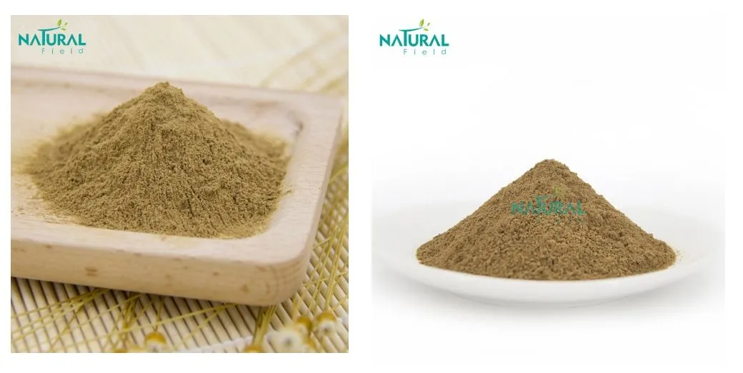 Cistanche Deserticola Ma Extract Powder