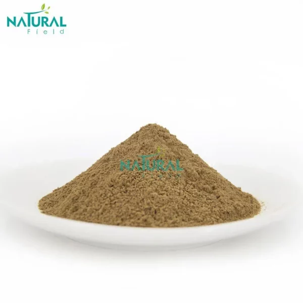 Cistanche deserticola Ma extract powder