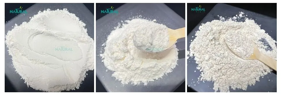 Chondroitin Sulfate Powder