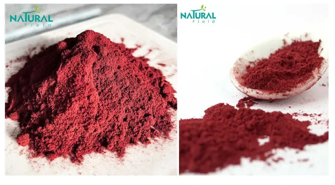 Cranberry Extract Powder
