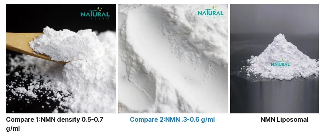 Liposomal NMN Powder