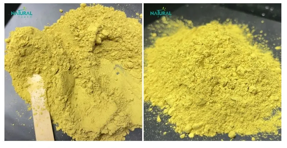 Smoketree Extract Fisetin Powder