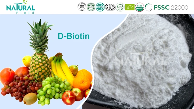 vitamin h biotin powder