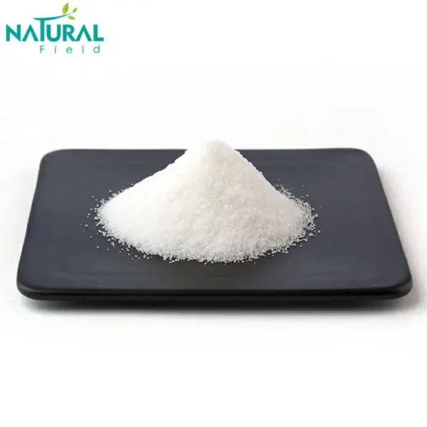 CDP Choline (Citicoline) Powder