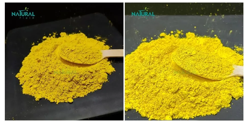 Liposomal Berberine Hydrochloride Powder